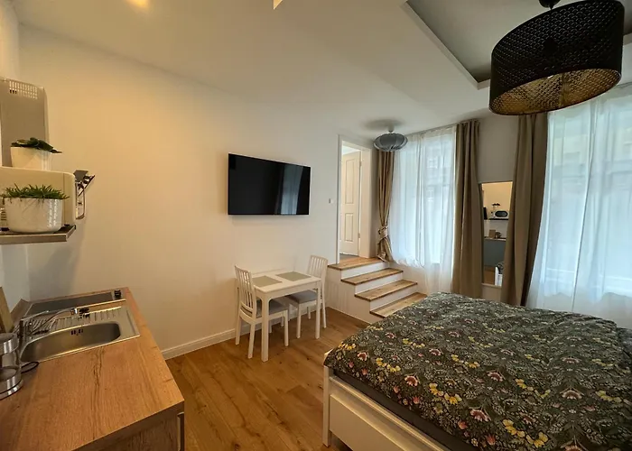 Boutique Hotel Pension Luisengrün Küche 1Gbs WLAN Netflix Disney MagentaTV